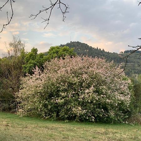 Laragh-On-Hogsback 빌라 외부 사진